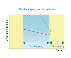 prevending sulfation