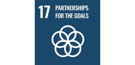 17 PARTNERSHIPS FOR THE GOALS