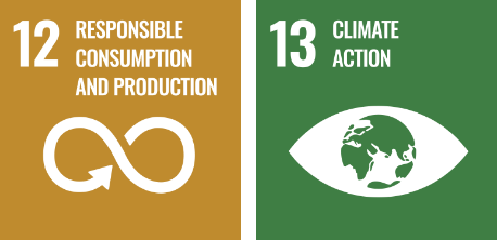 12 RESPONSIBLE CONSUMPTION AND PRODUCTION 13 CLIMATE ACTION